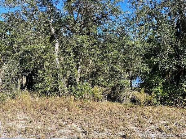 0.35 Acres of Residential Land for Sale in Dunnellon, Florida