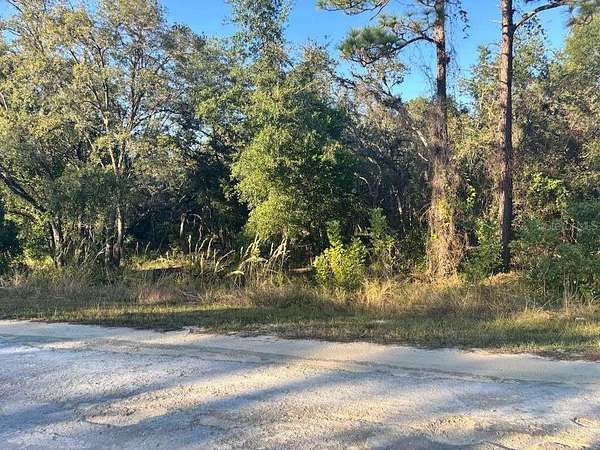 1.16 Acres of Residential Land for Sale in Webster, Florida