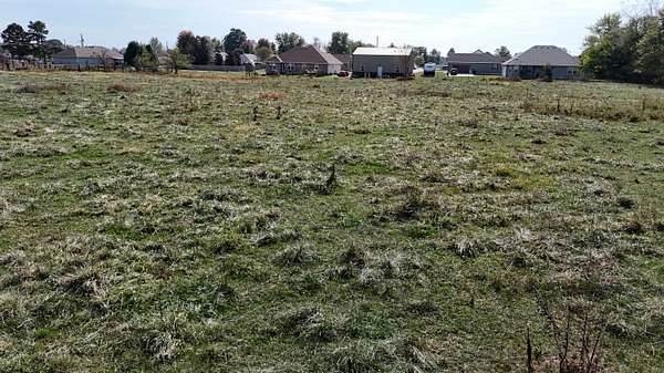 4 Acres of Residential Land for Sale in Seymour, Missouri