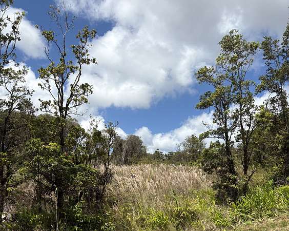0.19 Acres of Residential Land for Sale in Volcano, Hawaii