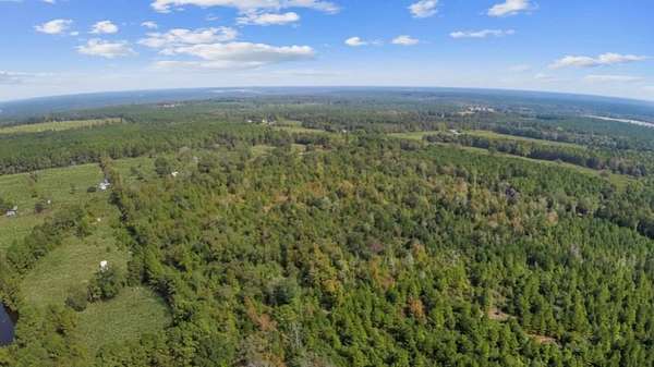 42.5 Acres of Recreational Land & Farm for Sale in Grapeland, Texas