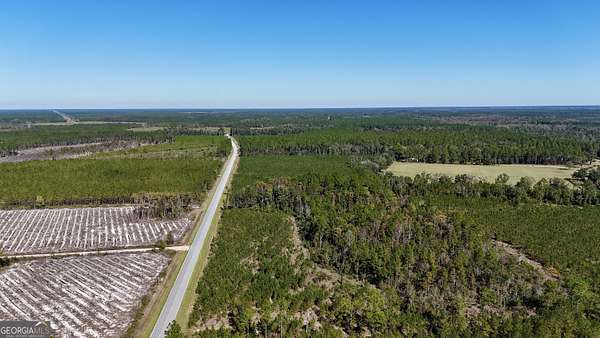 81 Acres of Recreational Land for Sale in Folkston, Georgia