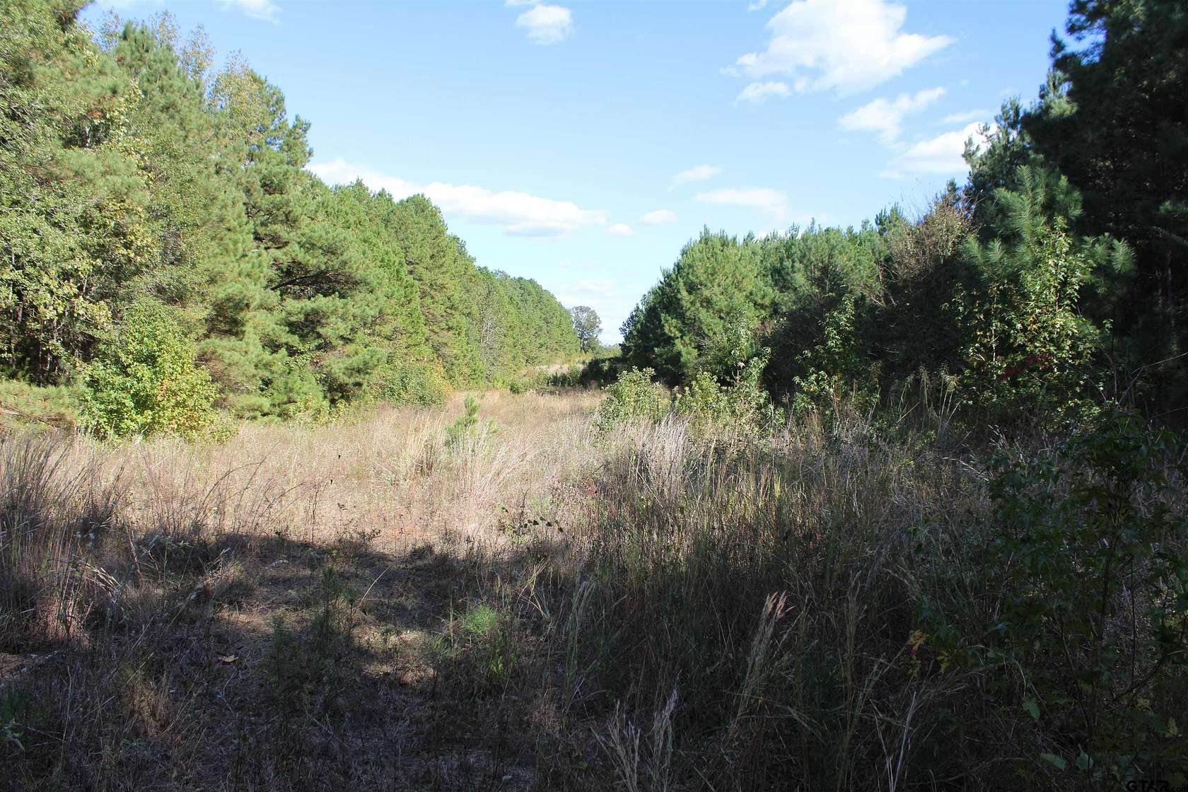 37.4 Acres of Recreational Land for Sale in Jacksonville, Texas