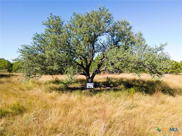 10 Acres of Recreational Land for Sale in Evant, Texas