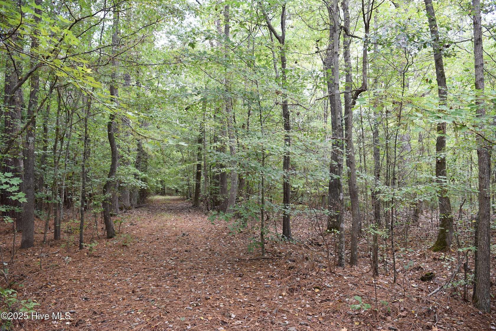 12.4 Acres of Land for Sale in Camden, North Carolina