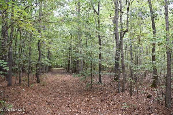 12.4 Acres of Land for Sale in Camden, North Carolina