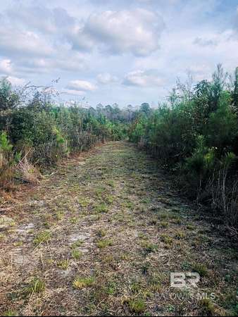 33 Acres of Land for Sale in Stockton, Alabama