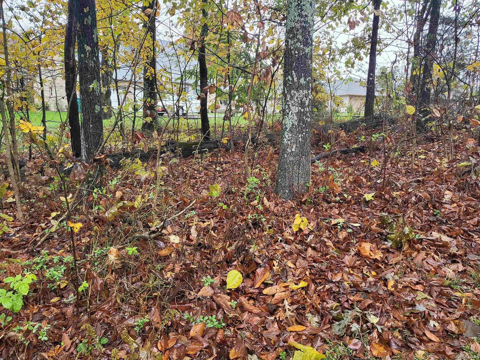 0.47 Acres of Residential Land for Sale in Santa Claus, Indiana