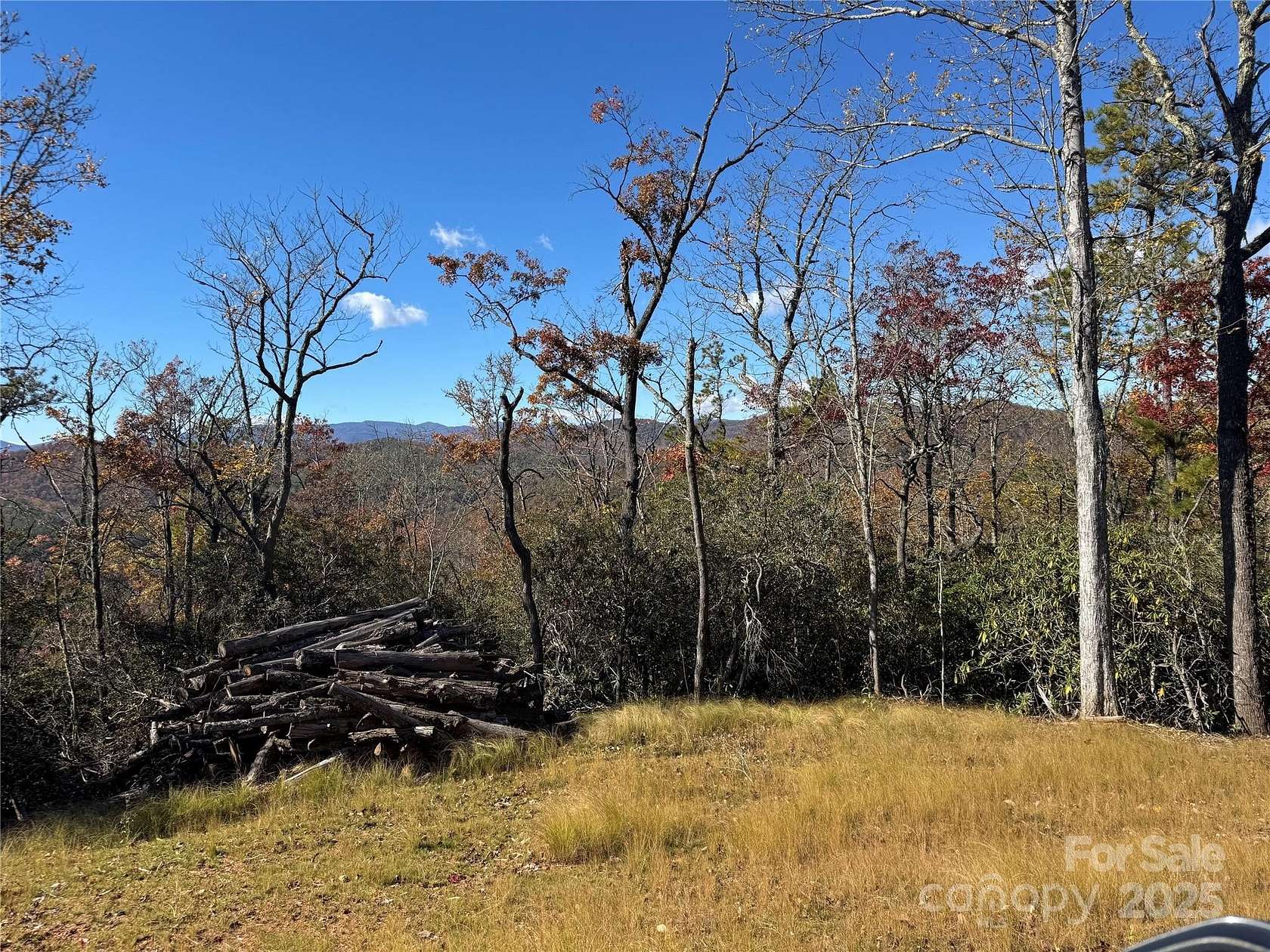 18.3 Acres of Recreational Land for Sale in Pisgah Forest, North Carolina