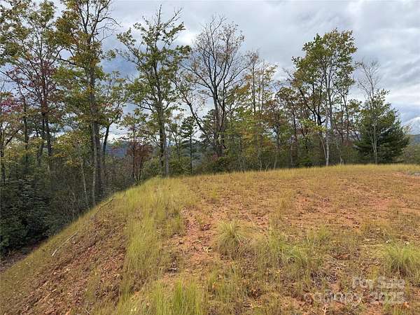 18.3 Acres of Recreational Land for Sale in Pisgah Forest, North Carolina
