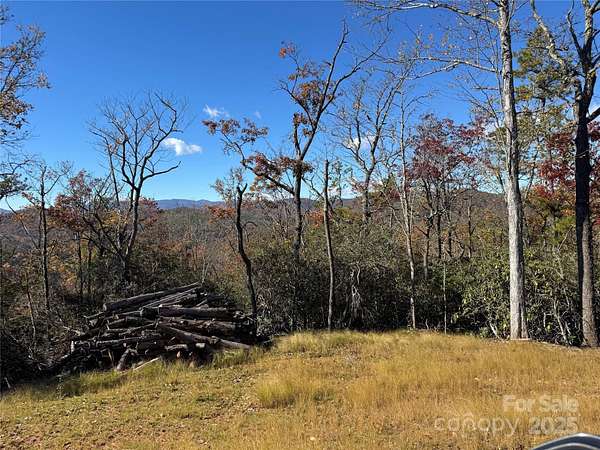 18.3 Acres of Recreational Land for Sale in Pisgah Forest, North Carolina