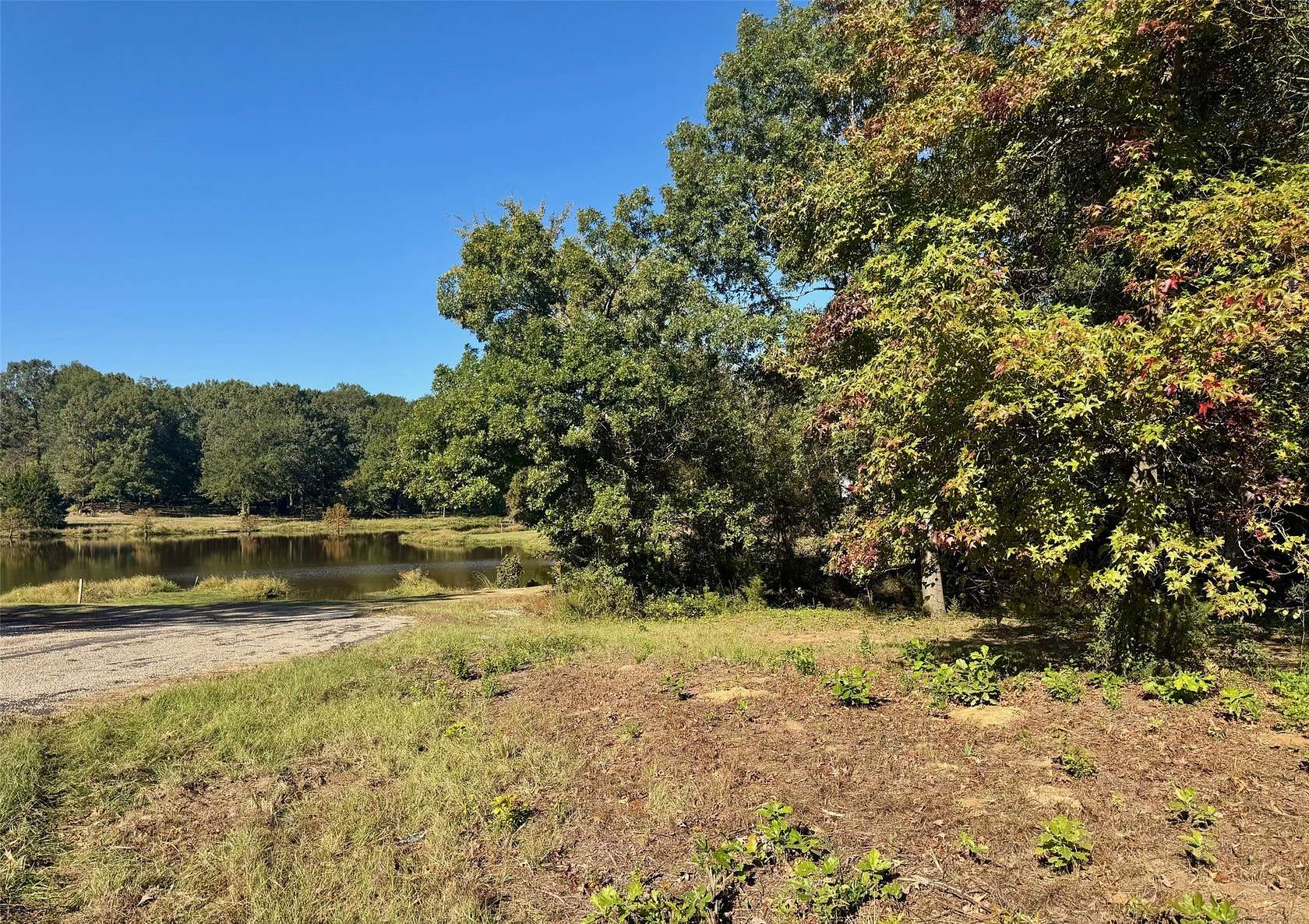 1 Acre of Residential Land for Sale in Pittsburg, Texas