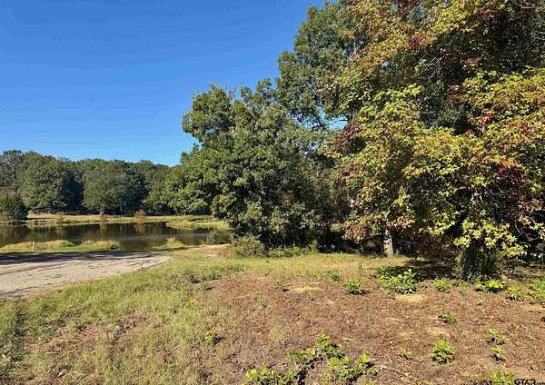 1 Acre of Residential Land for Sale in Pittsburg, Texas