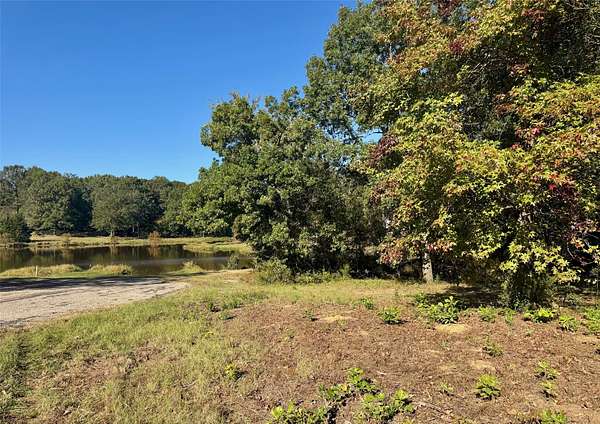 1 Acre of Residential Land for Sale in Pittsburg, Texas