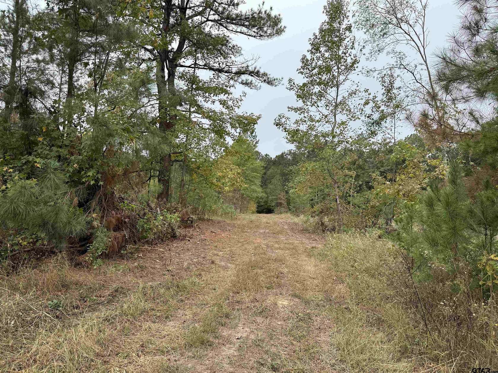 15.4 Acres of Land for Sale in Henderson, Texas