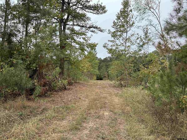 15.4 Acres of Land for Sale in Henderson, Texas