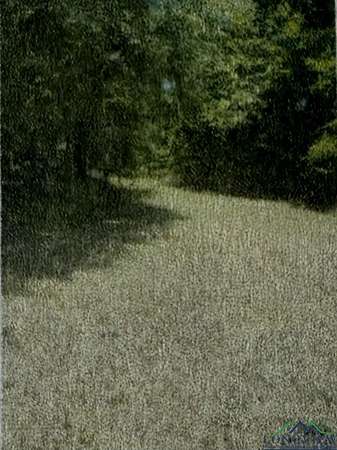 0.25 Acres of Residential Land for Sale in Avinger, Texas