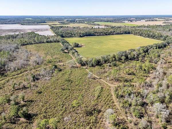 466 Acres of Recreational Land & Farm for Sale in Colquitt, Georgia