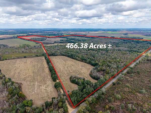 466 Acres of Recreational Land & Farm for Sale in Colquitt, Georgia