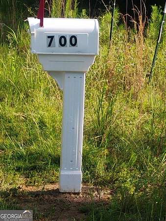 22.6 Acres of Land for Sale in Box Springs, Georgia