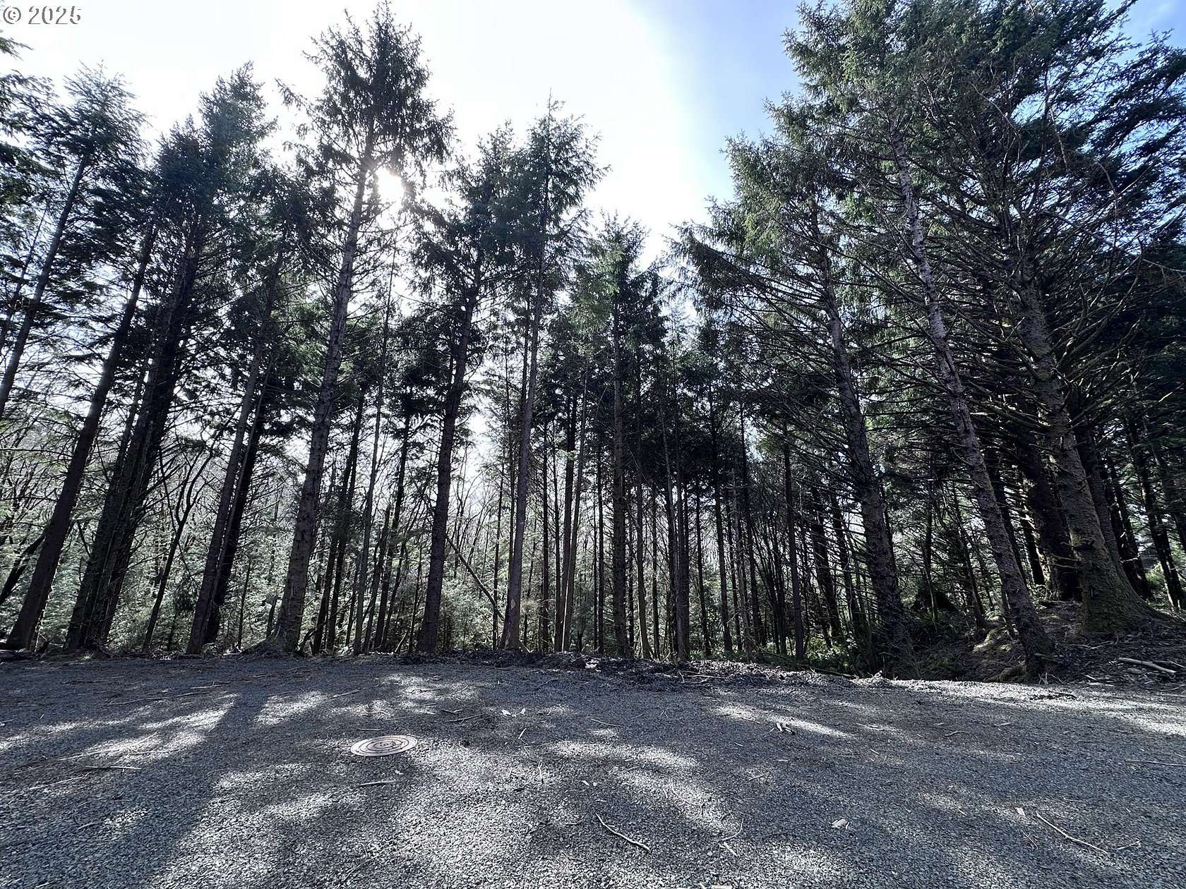 1.1 Acres of Residential Land for Sale in Arch Cape, Oregon