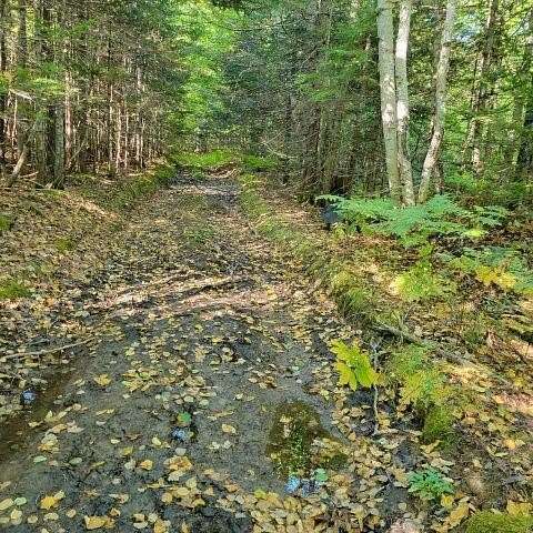 83.5 Acres of Land for Sale in Hammond Town, Maine