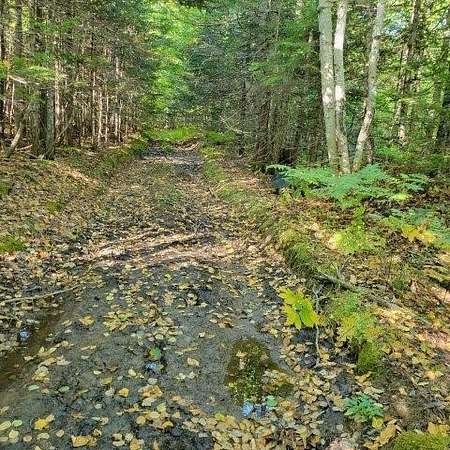 83.5 Acres of Recreational Land for Sale in Hammond Town, Maine