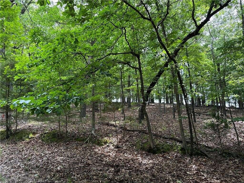 0.46 Acres of Residential Land for Sale in Lakeview, Arkansas