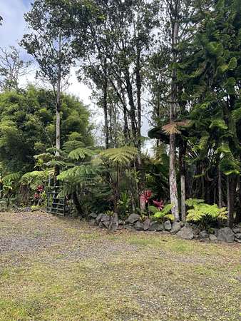 3 Acres of Land for Sale in Volcano, Hawaii