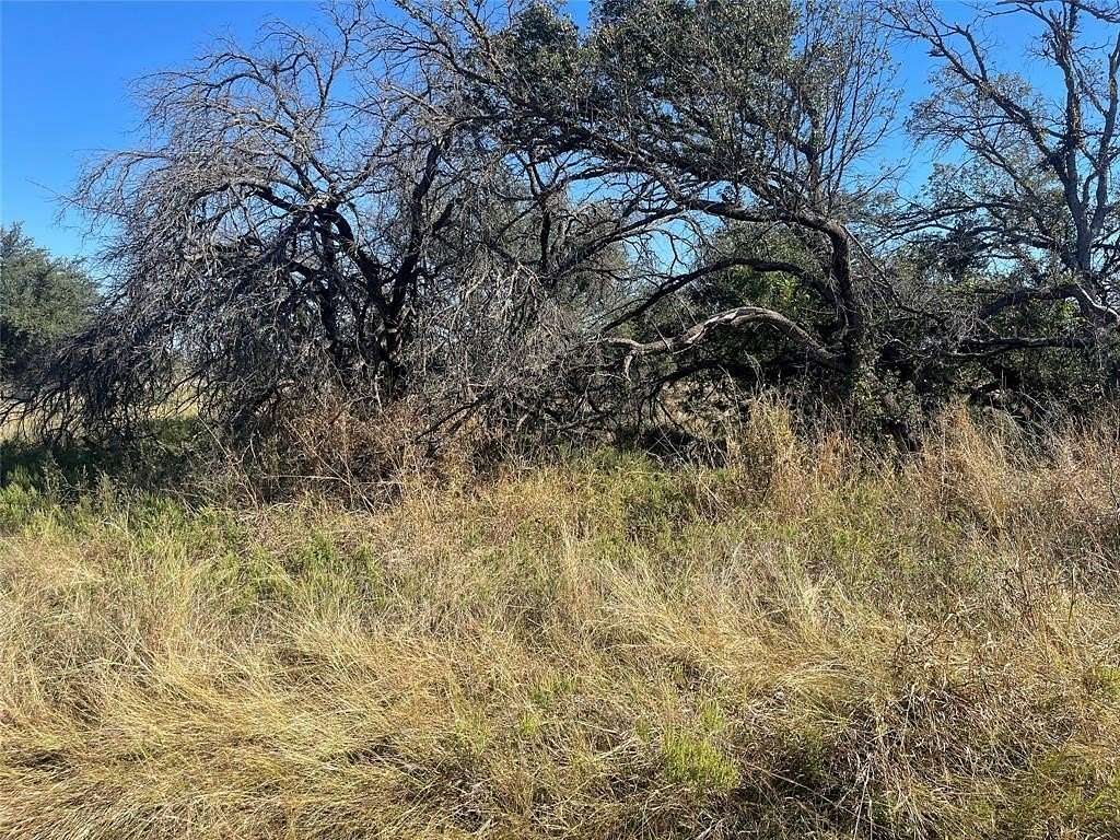 0.23 Acres of Residential Land for Sale in Brownwood, Texas