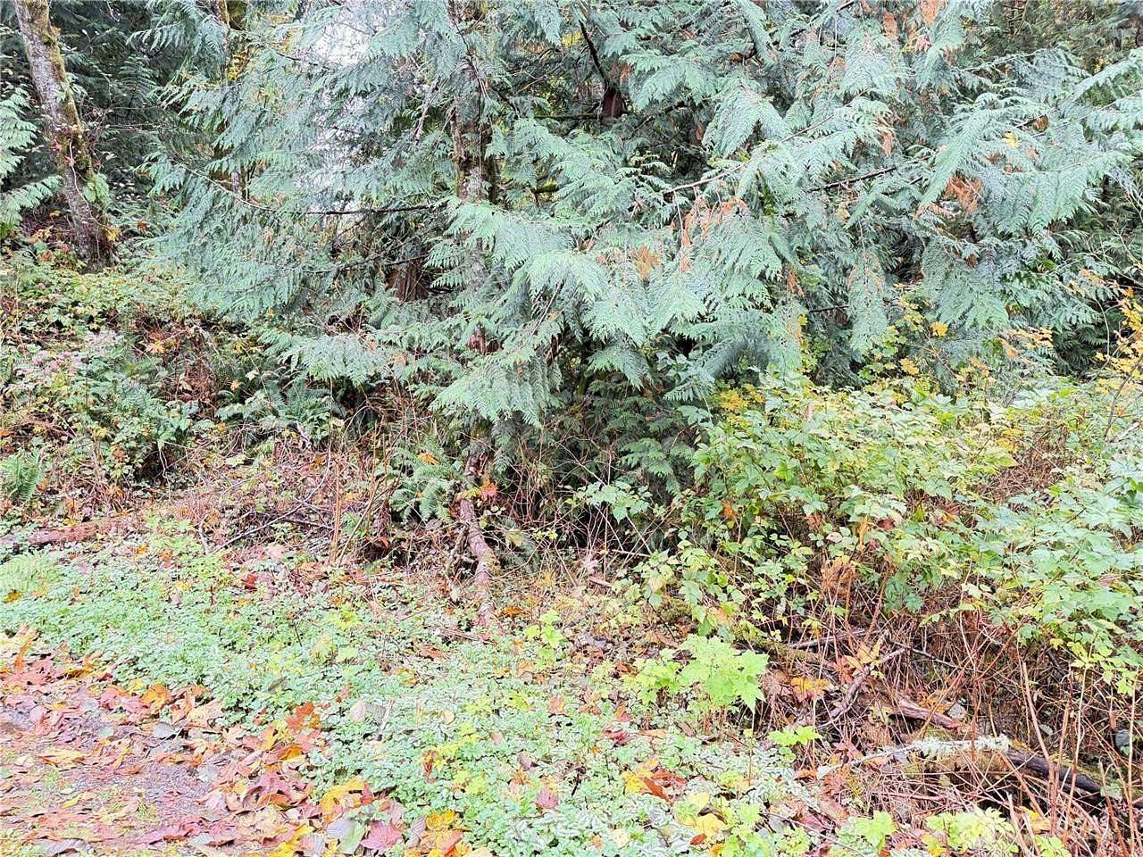 0.36 Acres of Land for Sale in Sedro-Woolley, Washington