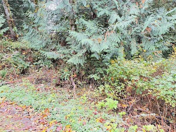 0.36 Acres of Land for Sale in Sedro-Woolley, Washington