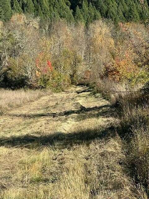 12.4 Acres of Land for Sale in Selma, Oregon