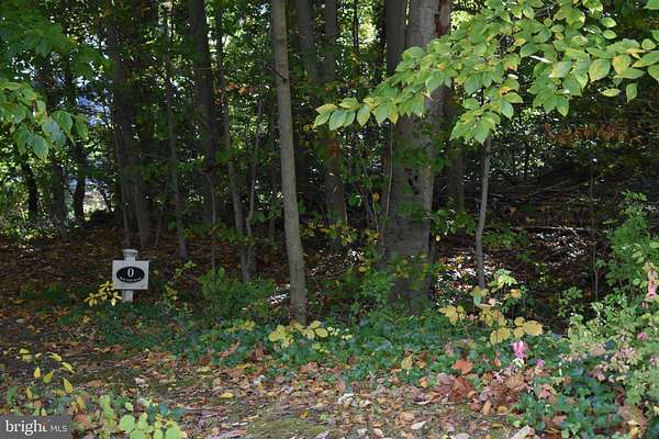 0.58 Acres of Residential Land for Sale in Wilmington, Delaware