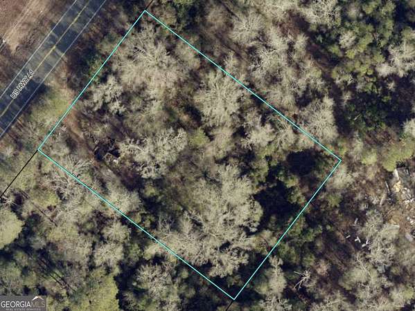 1 Acre of Mixed-Use Land for Sale in Byron, Georgia