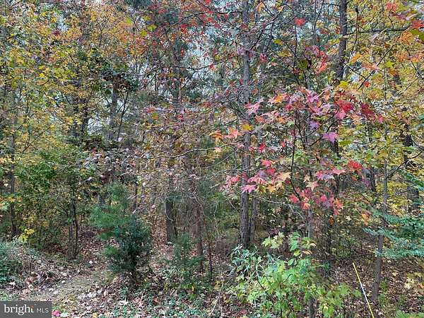 15.6 Acres of Agricultural Land for Sale in West River, Maryland