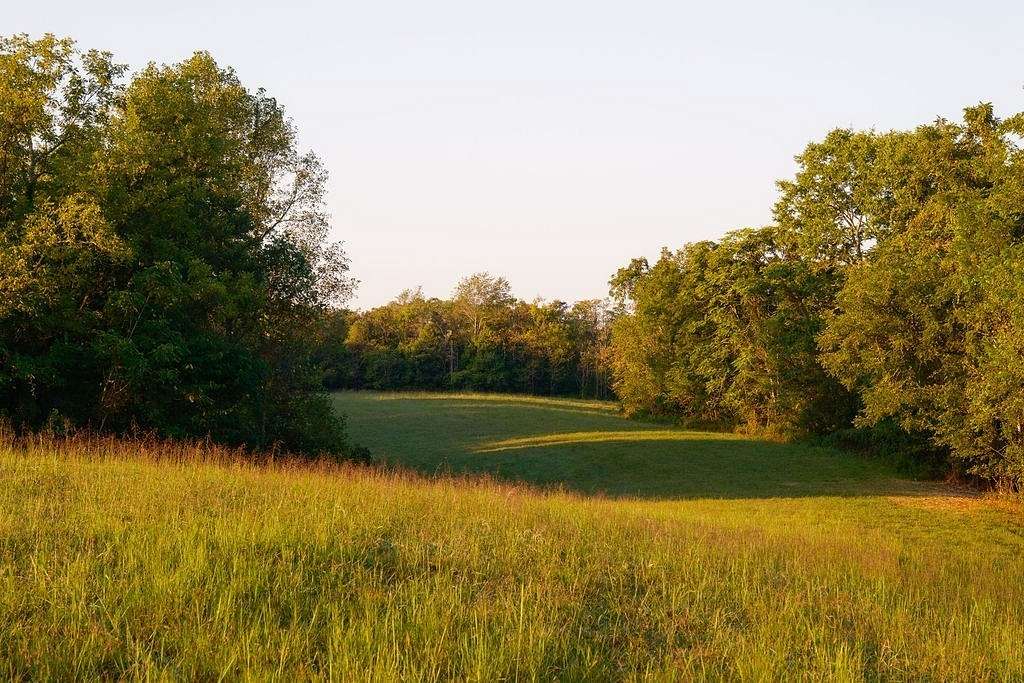 189 Acres of Land for Sale in Santa Fe, Tennessee