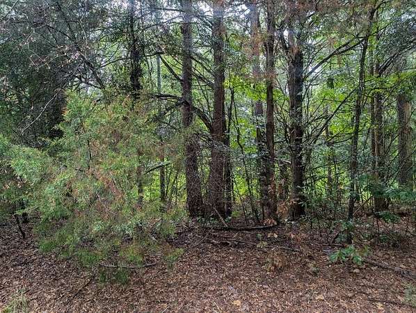 20.5 Acres of Recreational Land for Sale in Clayton, Alabama