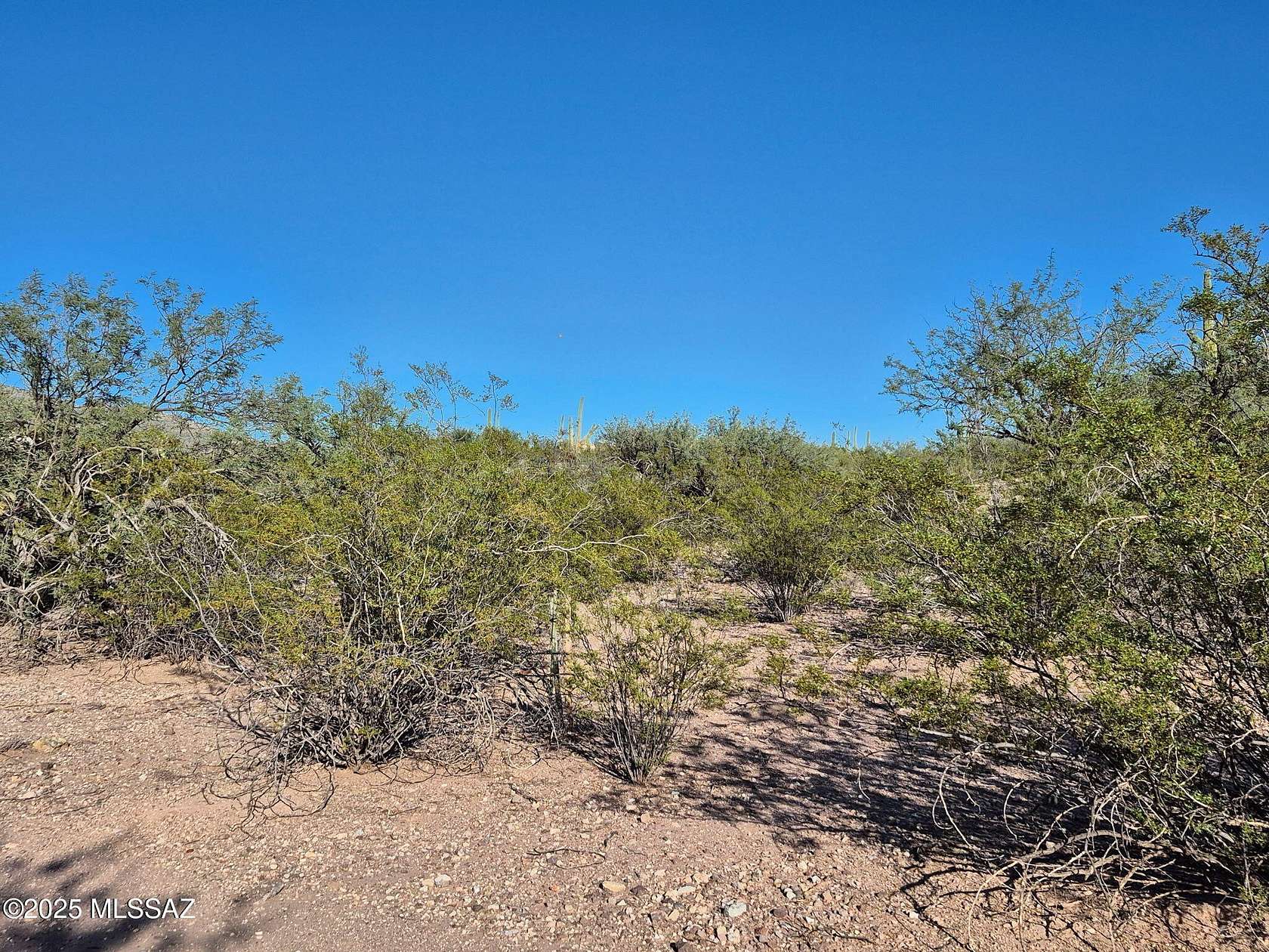 3.32 Acres of Residential Land for Sale in Tucson, Arizona