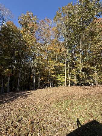 2.87 Acres of Residential Land for Sale in Allons, Tennessee