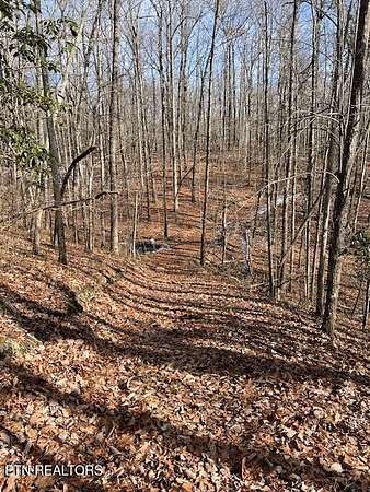3 Acres of Residential Land for Sale in Monterey, Tennessee