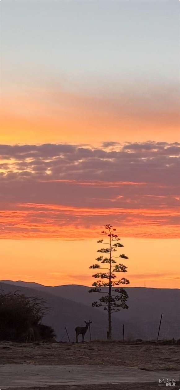 0.34 Acres of Residential Land for Sale in Napa, California