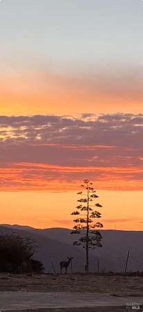 0.34 Acres of Residential Land for Sale in Napa, California