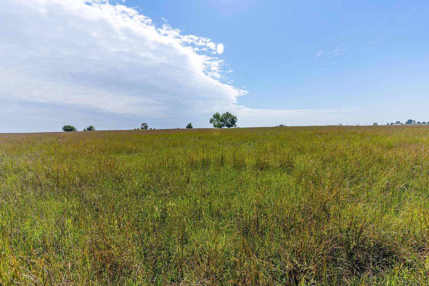 26.3 Acres of Land for Sale in Fair Grove, Missouri