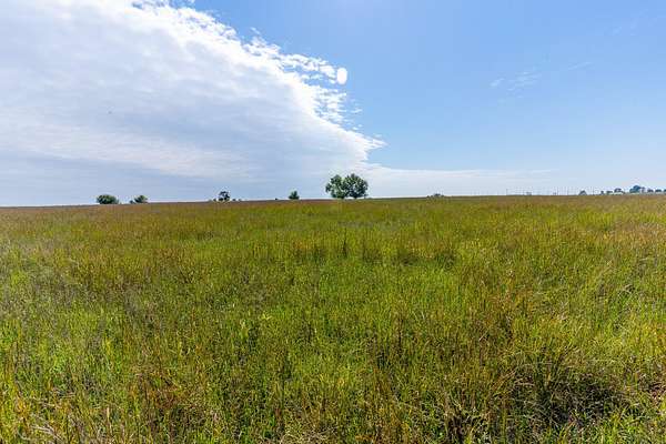 26.3 Acres of Land for Sale in Fair Grove, Missouri