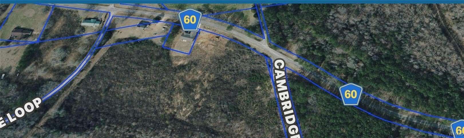 10 Acres of Residential Land for Sale in Winfield, Alabama