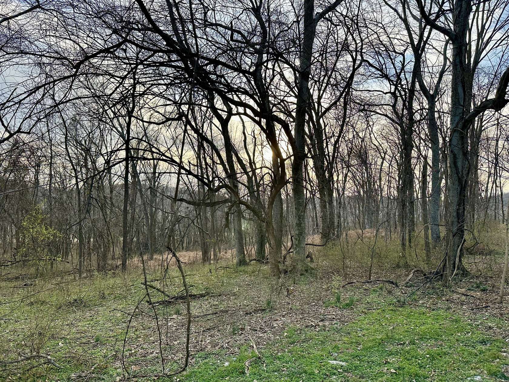 6.46 Acres of Residential Land for Sale in Lebanon, Tennessee