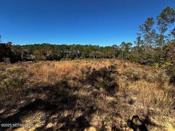 0.43 Acres of Residential Land for Sale in Interlachen, Florida