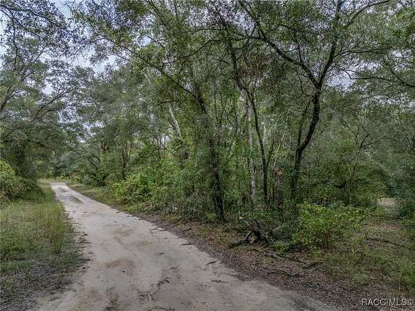 0.22 Acres of Residential Land for Sale in Inverness, Florida