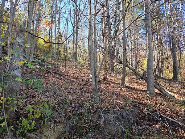 1.28 Acres of Land for Auction in Riner, Virginia